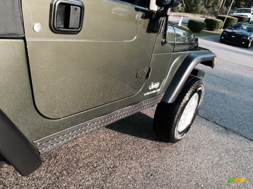 2006 Wrangler SE 4x4 - Jeep Green Metallic / Dark Slate Gray photo #29