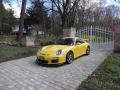 2010 Speed Yellow Porsche 911 GT3  photo #1