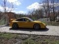 2010 Speed Yellow Porsche 911 GT3  photo #6
