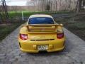 2010 Speed Yellow Porsche 911 GT3  photo #10