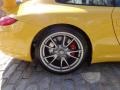 2010 Speed Yellow Porsche 911 GT3  photo #25