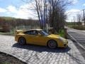 2010 Speed Yellow Porsche 911 GT3  photo #27