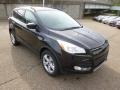 Tuxedo Black Metallic 2015 Ford Escape SE 4WD Exterior