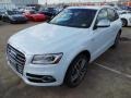 Glacier White Metallic - SQ5 Premium Plus 3.0 TFSI quattro Photo No. 3