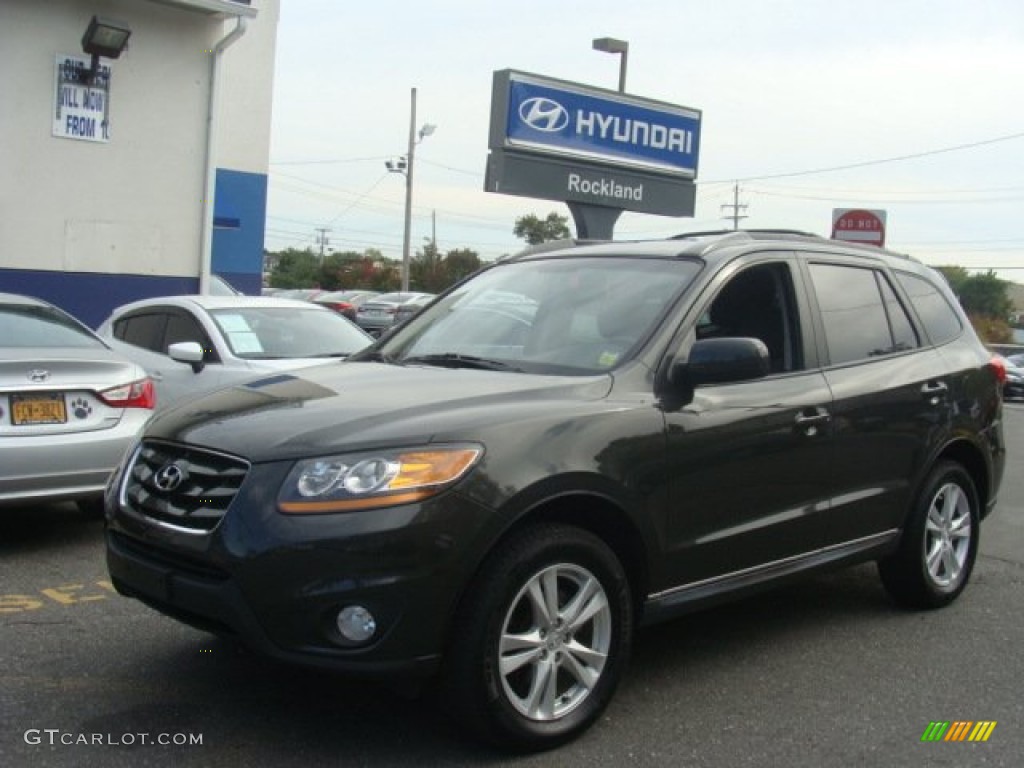 2010 Santa Fe SE - Black Forest Green Metallic / Gray photo #1