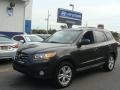 Black Forest Green Metallic 2010 Hyundai Santa Fe SE