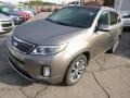 2015 Titanium Silver Kia Sorento SX AWD  photo #4