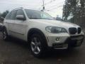 Alpine White - X5 3.0si Photo No. 3
