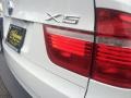 Alpine White - X5 3.0si Photo No. 31
