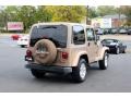 Desert Sand Pearl - Wrangler Sahara 4x4 Photo No. 7
