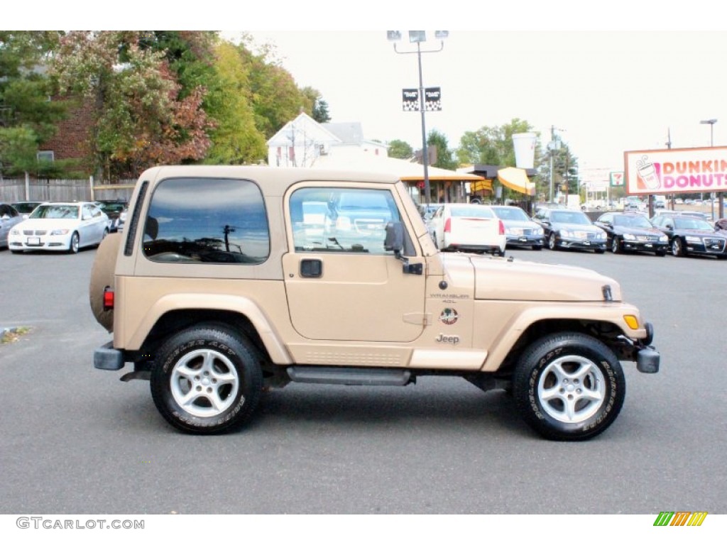 2000 Wrangler Sahara 4x4 - Desert Sand Pearl / Camel/Dark Green photo #10