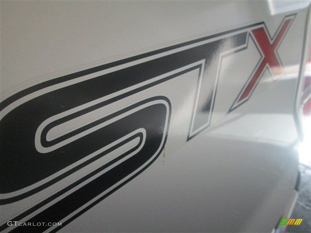 2014 F150 STX SuperCrew - Ingot Silver / Steel Grey photo #6