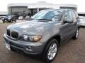 2006 Stratus Grey Metallic BMW X5 3.0i  photo #1