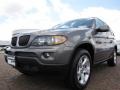 2006 Stratus Grey Metallic BMW X5 3.0i  photo #9