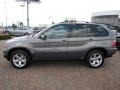 2006 Stratus Grey Metallic BMW X5 3.0i  photo #10