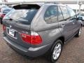 2006 Stratus Grey Metallic BMW X5 3.0i  photo #13