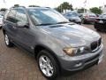 2006 Stratus Grey Metallic BMW X5 3.0i  photo #15