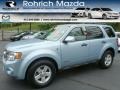 Light Ice Blue 2008 Ford Escape Hybrid 4WD