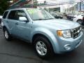 2008 Light Ice Blue Ford Escape Hybrid 4WD  photo #3