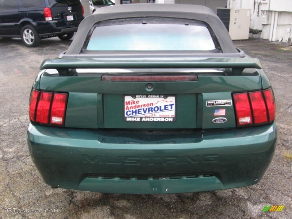 2001 Mustang V6 Convertible - Tropic Green metallic / Medium Parchment photo #5