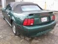 2001 Tropic Green metallic Ford Mustang V6 Convertible  photo #6