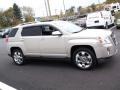 2010 Gold Mist Metallic GMC Terrain SLT AWD  photo #7