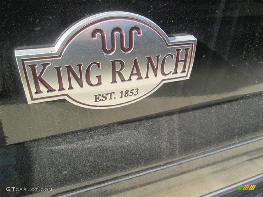 2015 F250 Super Duty King Ranch Crew Cab 4x4 - Tuxedo Black / King Ranch Mesa Antique Affect/Black photo #21