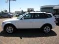 Alpine White - X3 3.0i Photo No. 10