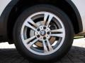 Alpine White - X3 3.0i Photo No. 29
