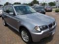 Silver Grey Metallic - X3 3.0i Photo No. 15