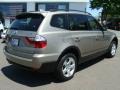 Platinum Bronze Metallic - X3 3.0si Photo No. 8