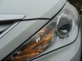 Shimmering White - Sonata GLS Photo No. 30