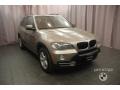 Platinum Bronze Metallic - X5 3.0si Photo No. 7