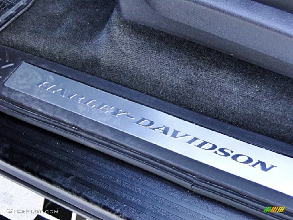 2010 F150 Harley-Davidson SuperCrew - Tuxedo Black / Harley Davidson Lava Red/Black photo #60