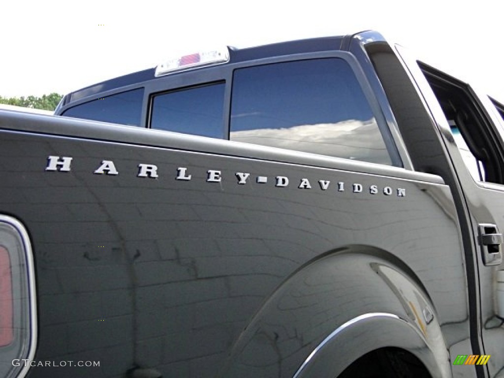 2010 F150 Harley-Davidson SuperCrew - Tuxedo Black / Harley Davidson Lava Red/Black photo #68