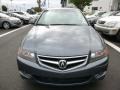 Carbon Gray Pearl - TSX Sedan Photo No. 13
