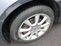 Carbon Gray Pearl - TSX Sedan Photo No. 14