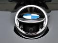 2013 BMW M6 Convertible Badge and Logo Photo