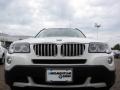 Alpine White - X3 3.0si Photo No. 8