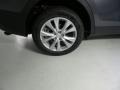 Magnetic Gray Metallic - RAV4 Limited Photo No. 14