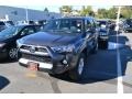 2014 Magnetic Gray Metallic Toyota 4Runner SR5 4x4  photo #4