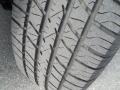 Silver Birch Metallic - Grand Marquis LS Photo No. 15
