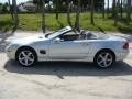 Brilliant Silver Metallic - SL 500 Roadster Photo No. 4