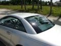 Brilliant Silver Metallic - SL 500 Roadster Photo No. 23