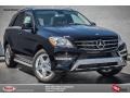 Black - ML 350 Photo No. 1