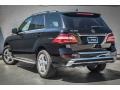 Black - ML 350 Photo No. 2