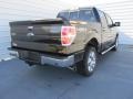 2014 Tuxedo Black Ford F150 XLT SuperCrew 4x4  photo #4