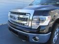 2014 Tuxedo Black Ford F150 XLT SuperCrew 4x4  photo #10