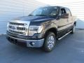 Tuxedo Black - F150 XLT SuperCrew Photo No. 7