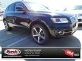 Moonlight Blue Metallic - Q5 3.0 TFSI Premium Plus quattro Photo No. 1
